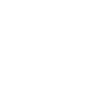 IBM </br> Watson